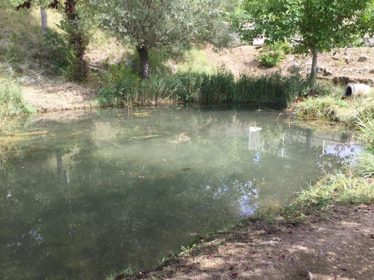 Mazet Lavande Saint-Martin-de-Brômes Εξωτερικό φωτογραφία